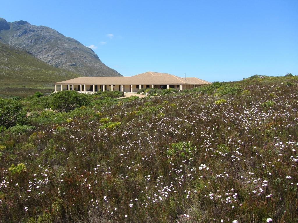Kapensis Guesthouse Pringle Bay Buitenkant foto