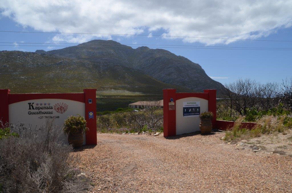 Kapensis Guesthouse Pringle Bay Buitenkant foto