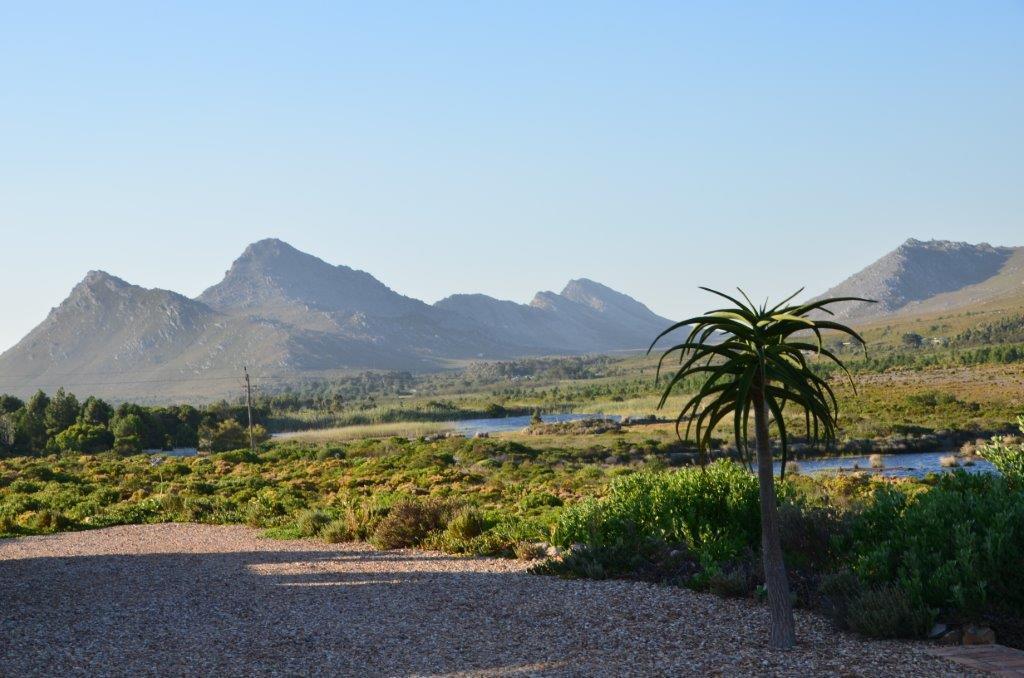 Kapensis Guesthouse Pringle Bay Buitenkant foto